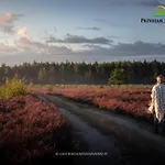 Przystań Piława Z Prywatnym Basenem
