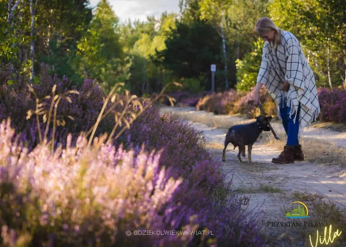 Przystan Pilawa Z Prywatnym Basenem