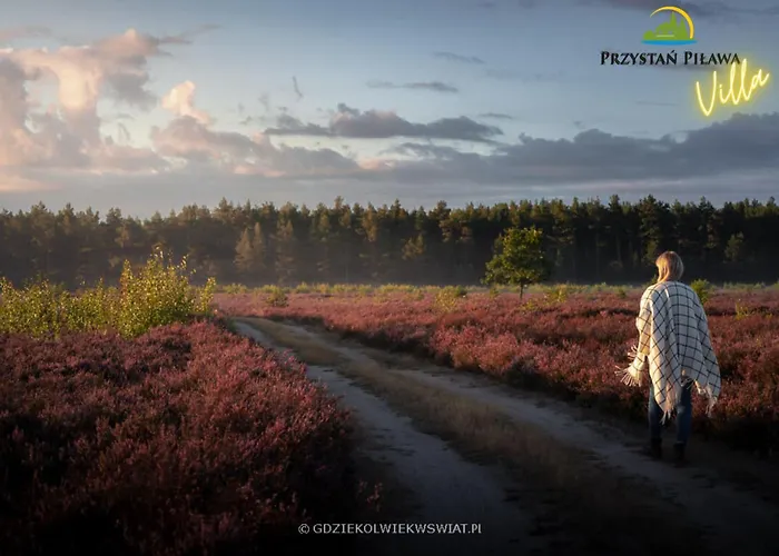 Przystan Pilawa Z Prywatnym Basenem